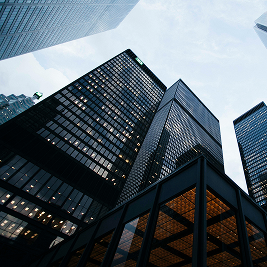 professional-services