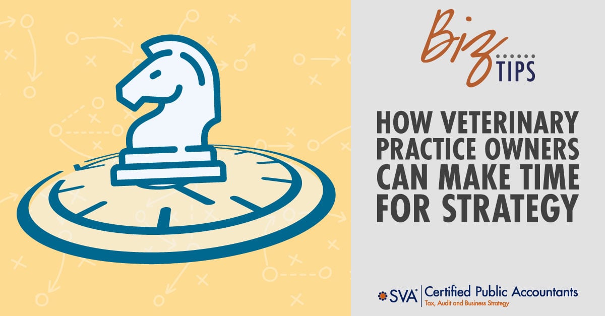How Veterinary Practice Owners Can Make Time for Strategy